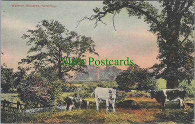 Northamptonshire Postcard - Kettering, Warkton Meadows   DC1263