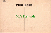 Load image into Gallery viewer, Northumberland Postcard - Bamburgh, Grace Darling's Memorial DC1246