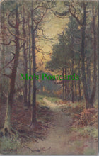 Load image into Gallery viewer, Surrey Postcard - Hindhead, Thirlestone Walk, Artist Wilfrid Ball SW11824