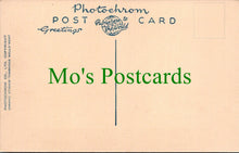 Load image into Gallery viewer, Dorset Postcard - West Lulworth Village  SW11926