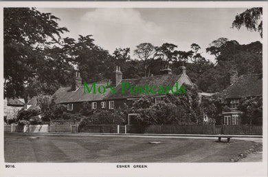 Surrey Postcard - Esher Green   RT2457