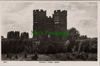Surrey Postcard - Esher, Wolsey's Tower  RT2455