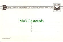 Load image into Gallery viewer, Animals Postcard - Horse Stood in a Paddock SW13424