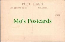 Load image into Gallery viewer, Cornwall Postcard - Seagulls Hunger March, St Ives  SW12029