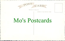 Load image into Gallery viewer, Berkshire Postcard - Aerial View of Windsor Castle  SW12045