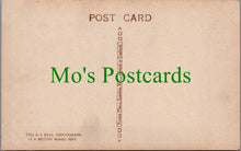 Load image into Gallery viewer, Landscape Postcard - British Beauty Spot - Lady Rowing SW12068