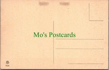 Load image into Gallery viewer, Art Postcard - Tiziano Vecellio, Ritratto Di Donna Detto La "Flora" SW12734