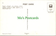 Load image into Gallery viewer, Animals Postcard - Giraffes With Baby, Paignton Zoo SW11220