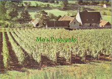 Load image into Gallery viewer, Somerset Postcard - Wootton Vines, North Wootton, Nr Wells SW11454