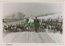 Load image into Gallery viewer, Animals Postcard - Dogs, Devon and Somerset Staghounds SW11457
