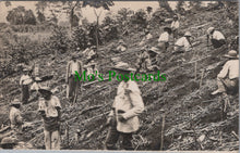 Load image into Gallery viewer, Unknown Location Postcard - Agricultural Work? DC2540
