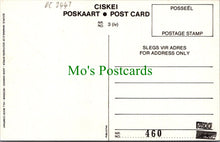 Load image into Gallery viewer, Animals Postcard - Caracal Wild Cat, Felis Caracal Shreber  DC2447