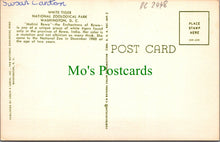 Load image into Gallery viewer, Animals Postcard - White Tiger, Washington Zoo  DC2448