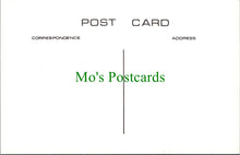 Load image into Gallery viewer, Somerset Postcard - Old Taunton, A Row of Shops c1912 - SW11715