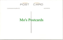 Load image into Gallery viewer, London Postcard - Old Highgate, Gate House Inn, Swearing on The Horns  SW11633