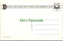 Load image into Gallery viewer, Animals Postcard - A Beautiful Horse SW11749