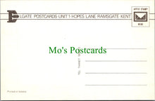 Load image into Gallery viewer, Animals Postcard - Horse and Foal Grazing SW11753