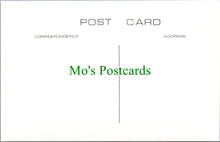 Load image into Gallery viewer, Isle of Wight Postcard - Old Ventnor, Early Panorama of The Town SW14548
