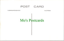 Load image into Gallery viewer, Isle of Wight Postcard - Old Newport, Castle Road c1913 - SW14841