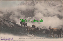 Load image into Gallery viewer, Switzerland Postcard - Alpenweide Im Urbachtal Und Ritzlihorn SW11768
