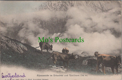 Switzerland Postcard - Alpenweide Im Urbachtal Und Ritzlihorn SW11768