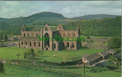 Wales Postcard - Tintern Abbey, Monmouthshire  SW11792