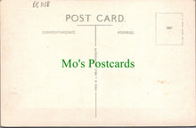 Load image into Gallery viewer, Staffordshire Postcard - Trentham Hall   DC1138