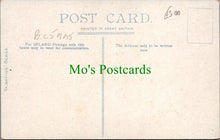 Load image into Gallery viewer, Sussex Postcard - Midhurst, Cowdray Castle Entrance  SW13075