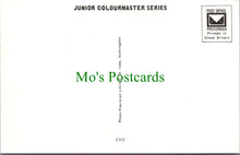 Load image into Gallery viewer, Toys Postcard - Children's Nursery Rhymes, Cinderella SW11503