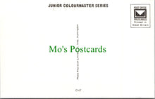 Load image into Gallery viewer, Toys Postcard - Children's Nursery Rhymes & Fairy Tales SW11505