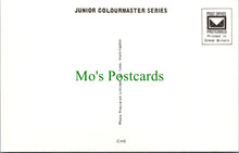 Load image into Gallery viewer, Toys Postcard - Children's Nursery Rhymes & Fairy Tales SW11507