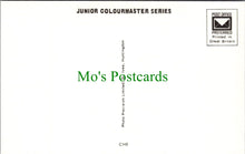 Load image into Gallery viewer, Toys Postcard - Children's Nursery Rhymes & Fairy Tales SW11506