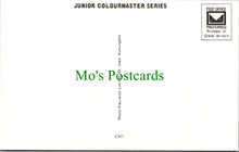 Load image into Gallery viewer, Toys Postcard - Children's Nursery Rhymes & Fairy Tales SW11509