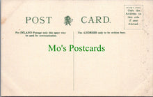 Load image into Gallery viewer, Lancashire Postcard - Blackpool, Tower Roof Gardens  SW12698