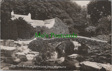 Northumberland Postcard - Old Mill Bridge, Jesmond Dene, Newcastle DC1555