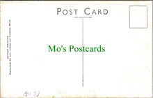 Load image into Gallery viewer, Devon Postcard - Clovelly High Street   DC1561