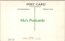 Load image into Gallery viewer, Hertfordshire Postcard - Verulamium Roman Mosaic, 2nd Century A.D - DC1563