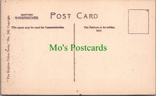 Load image into Gallery viewer, Sussex Postcard - Brighton, King Edward's Memorial  SW13173