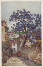 Load image into Gallery viewer, Portugal Postcard - Jackaranda Tree, Madeira  SW13174

