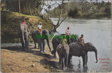 Sri Lanka Postcard - Ceylon, Elephants Crossing River  SW13192