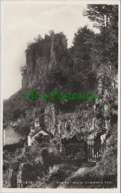 Herefordshire Postcard - The Yat Rock, Symonds Yat    HP163