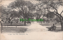 Load image into Gallery viewer, America Postcard - City Park, Galveston, Texas  DC2563