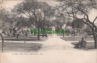 America Postcard - City Park, Galveston, Texas  DC2563