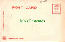 Load image into Gallery viewer, America Postcard - City Park, Galveston, Texas  DC2563