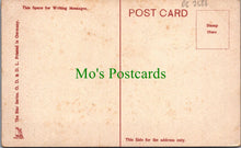 Load image into Gallery viewer, Bristol Postcard - The Promenade, Bristol   DC2586
