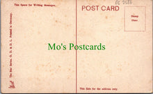 Load image into Gallery viewer, Bristol Postcard - The Promenade, Bristol   DC2586