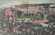 Load image into Gallery viewer, Japan Postcard - Japanese Ladies  SW12463
