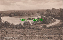 Load image into Gallery viewer, Surrey Postcard - Frensham Pond SW12466