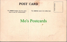 Load image into Gallery viewer, Staffordshire Postcard - Alton Gardens  SW13233