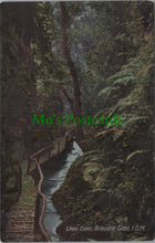 Load image into Gallery viewer, Isle of Man Postcard - Lhen Coan, Groudle Glen  SW11022